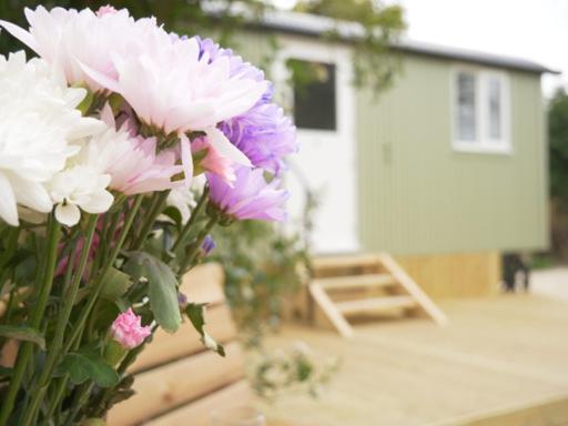 Wolstonbury Getaway Villa Hassocks ภายนอก รูปภาพ